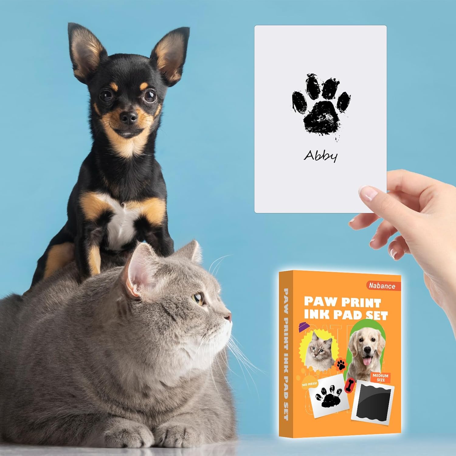 4 Clean Touch Ink Pads & 8 Imp - đánh giá và giá Baby Products Gift Card