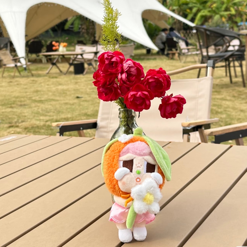 Genuine New Popmart City Park  - đánh giá và giá Baby Products Gift Card